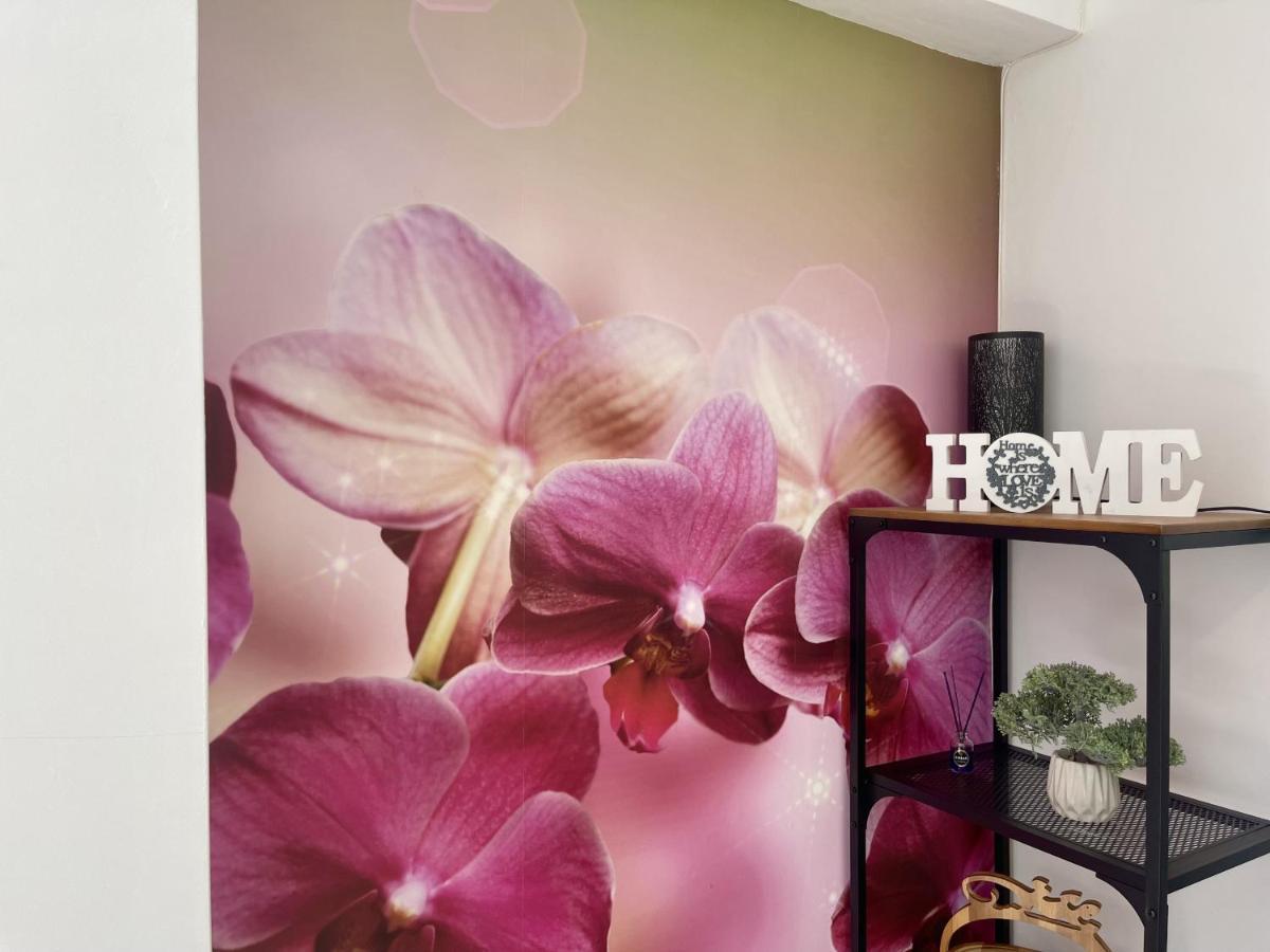 Torre Colon Apartment เบนิดอร์ม ภายนอก รูปภาพ